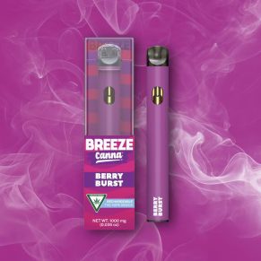 Berry Burst THC Disposable